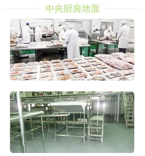 食品車間聚氨酯地坪與新型膜材料 專業(yè)施工與銷售綜合解決方案