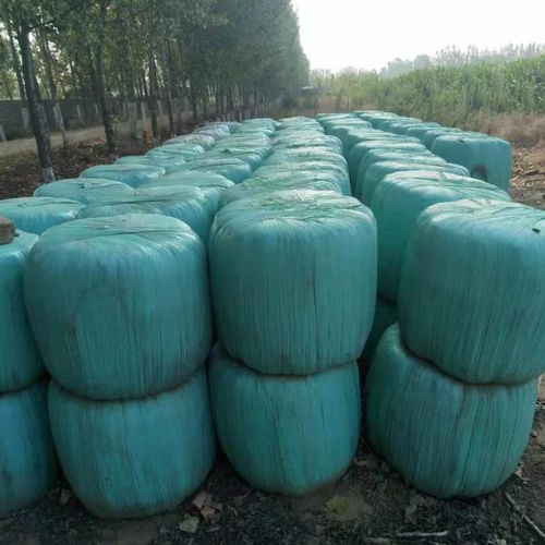 南昌塑料薄膜與新型膜材料 深耕青貯拉伸膜的專業(yè)制造與創(chuàng)新銷售