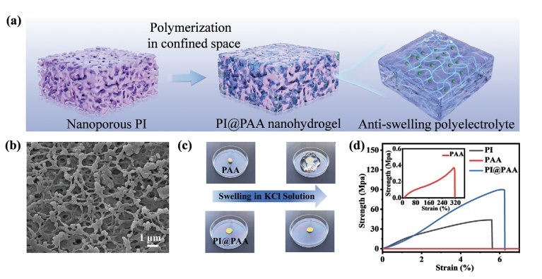 青島大學隋坤艷教授團隊在Advanced Functional Materials發表新型膜材料銷售領域突破性成果